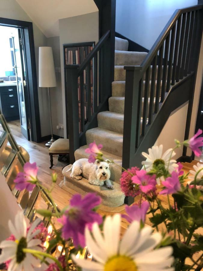 The Niche Bed & Breakfast Eastbourne Bagian luar foto